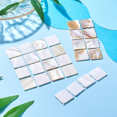 3Pcs 3 Styles Natural Shell Nail Art Display Board ODIS-TA0001-04-1