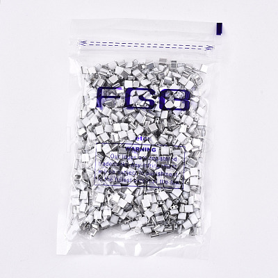 FGB 2-Hole Glass Seed Beads SEED-S031-L-ST41-K-1