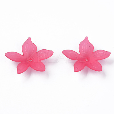 Transparent Acrylic Beads MACR-S373-127-D01-1