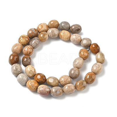 Natural Fossil Coral Beads Strands G-C038-02T-1