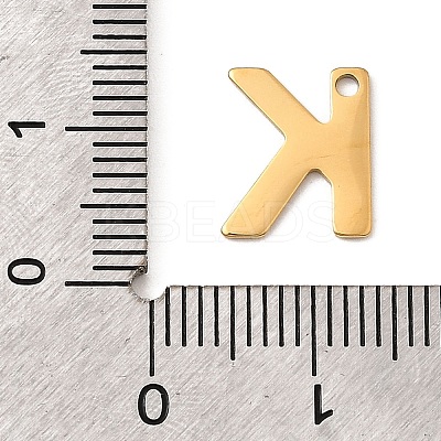 304 Stainless Steel Charms STAS-B093-12G-K-1