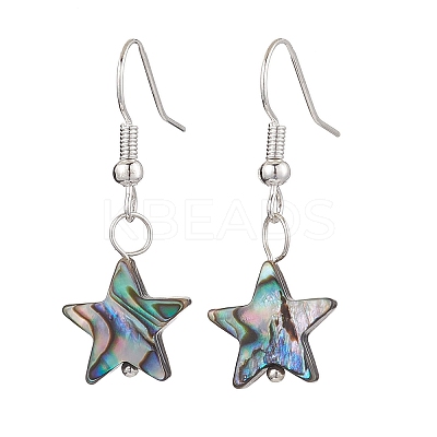 Natural Abalone Shell/Paua Shell Dangle Earring EJEW-JE05915-1