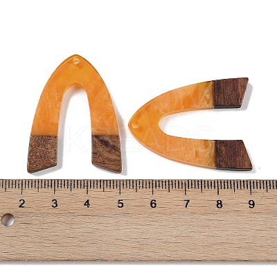 Resin & Wood Pendants WOOD-F015-16B-1