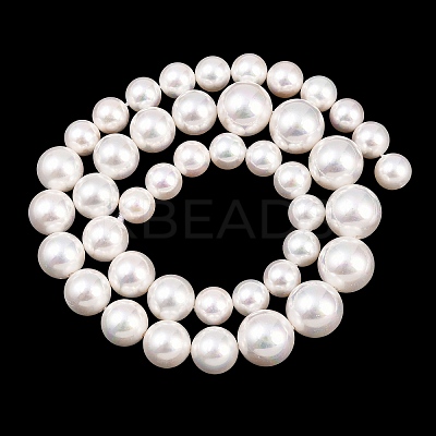 Electroplated Shell Pearl Graduated Beads Strands BSHE-C011-04-1