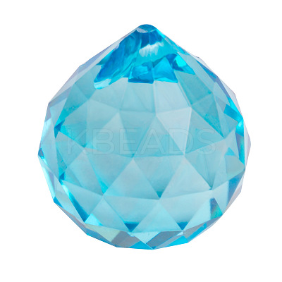 K9 Glass Pendants HJEW-PW0006-01E-1