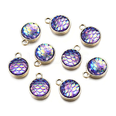 Alloy Resin Charms PALLOY-T056-24C-1