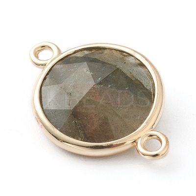 Labradorite Links Connectors G-B009-18G-1