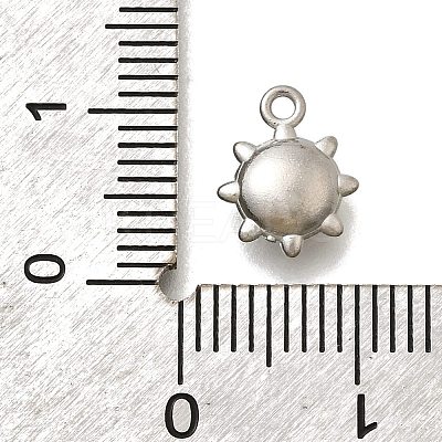 304 Stainless Steel Charms LS-STAS-D310-06P-01-1