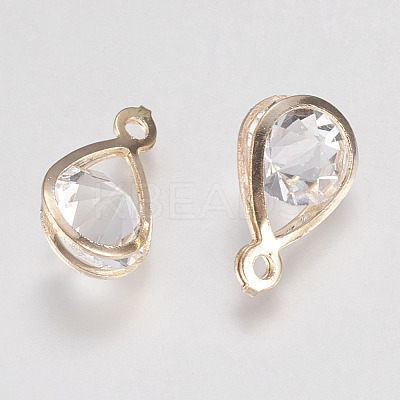 Glass Rhinestone Pendants X-IFIN-F144-24G-1