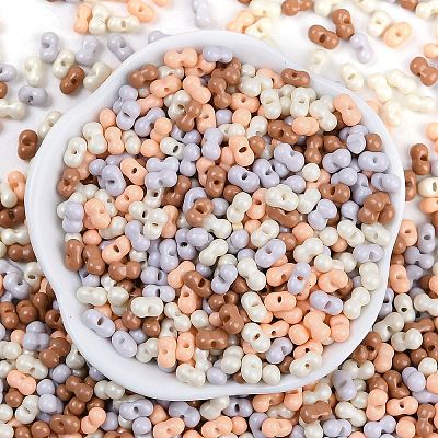 Glass Seed Beads SEED-K010-03B-1