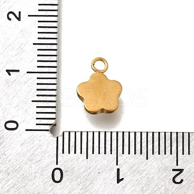 304 Stainless Steel Pave Cubic Zirconia Charms STAS-D310-07G-02-1