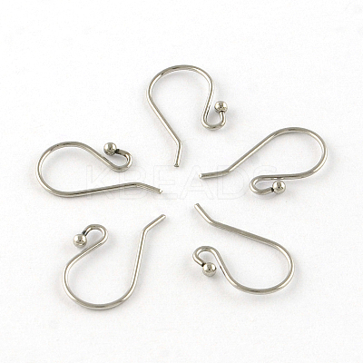 Tarnish Resistant 201 Stainless Steel Earring Hooks X-STAS-R063-33-1