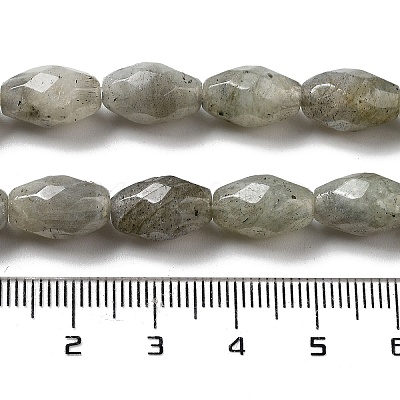 Natural Labradorite Beads Strands G-P520-C08-01-1
