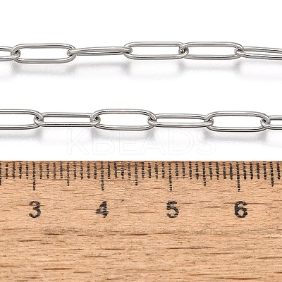 Non-Tarnish 304 Stainless Steel Paperclip Chains NJEW-G340-09P-1