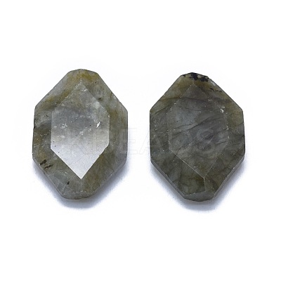 Natural Labradorite Cabochons G-L514-008-1