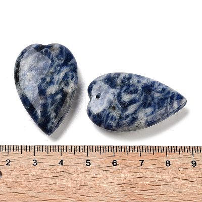 Natural Blue Spot Jasper Pendants G-D087-02K-1