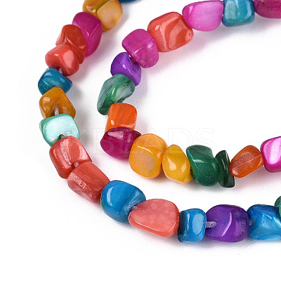 Natural Freshwater Shell Beads Strands SHEL-N038-06B-1