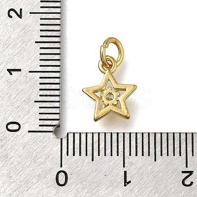 Brass Micro Pave Cubic Zirconia Pendants ZIRC-I070-017G-1