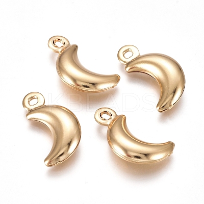 304 Stainless Steel Pendants STAS-I138-05G-1