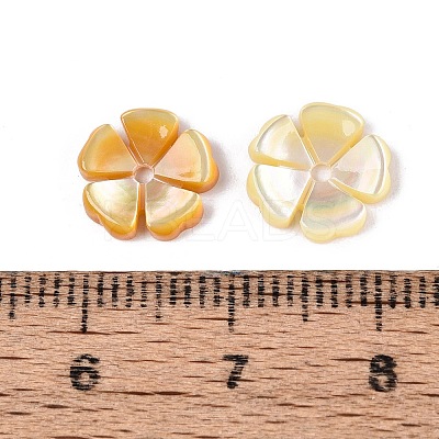 Natural Yellow Shell Carved Beads SHEL-Q028-04-1