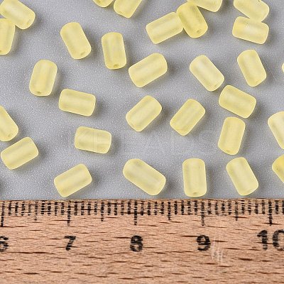 FGB Frosted Transparent Glass Seed Beads SEED-N013-05A-02-1