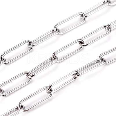 Non-Tarnish 3.28 Feet 304 Stainless Steel Paperclip Chains X-CHS-L022-02P-1