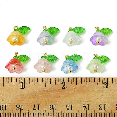 40Pcs Glass & Plastic Pendant PALLOY-FZ00012-1