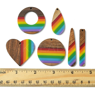 12Pcs 6 Styles Pride Rainbow Theme Resin & Walnut Wood Pendants WOOD-FS0001-32-1