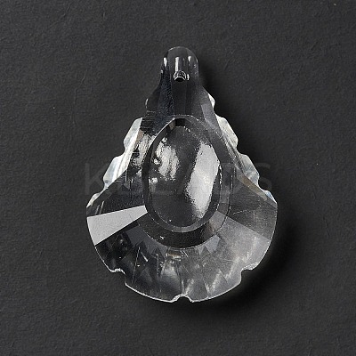 Transparent Glass Pendants LS-GLAA-F118-09-1