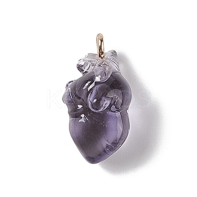 Transparent Resin Pendants RESI-E028-01G-08-1