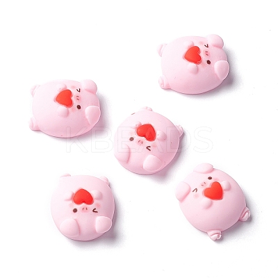 Resin Cabochons LS-RESI-C008-01-1