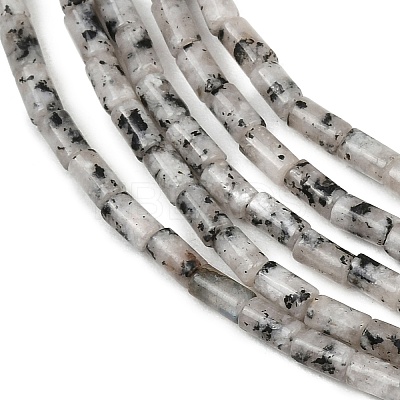 Natural Seame Jasper Beads Strands G-P600-B11-01-1