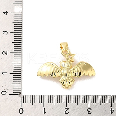Rack Plating Brass Micro Pave Clear Cubic Zirconia Pendants KK-C047-20A-G-1