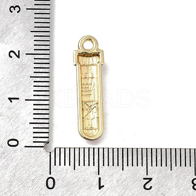 Medical Theme Alloy Enamel Pendants LS-FIND-G090-02F-01-1