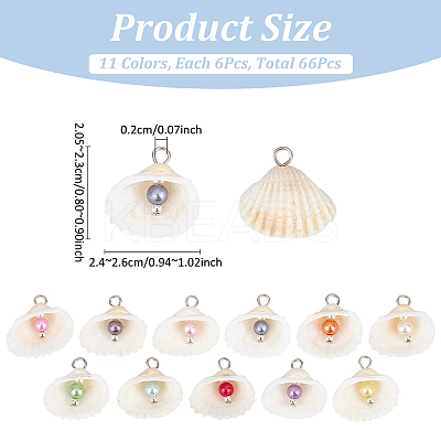 66Pcs 11 Styles Natural Shell Big Pendants PALLOY-MA00003-1