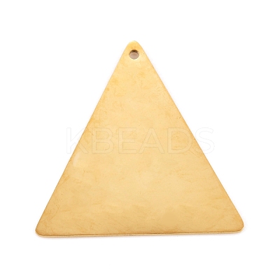 304 Stainless Steel Pendants STAS-L238-113A-G-1