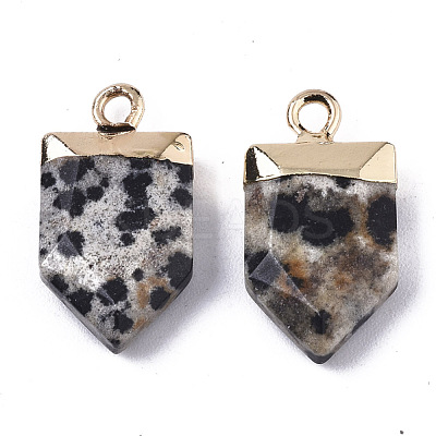 Natural Dalmatian Jasper Pointed Pendants G-N326-34D-1
