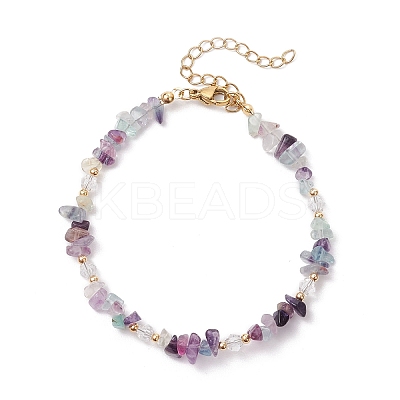 Natural Fluorite Chip Beaded Bracelets for Women BJEW-JB11742-06-1
