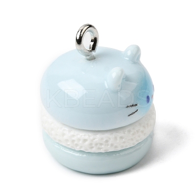 Opaque Resin Pendants RESI-P051-06P-M-1