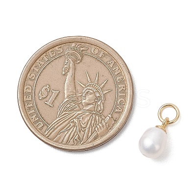 Natural Cultured Freshwater Pearl Rice Charms PALLOY-JF04830-1