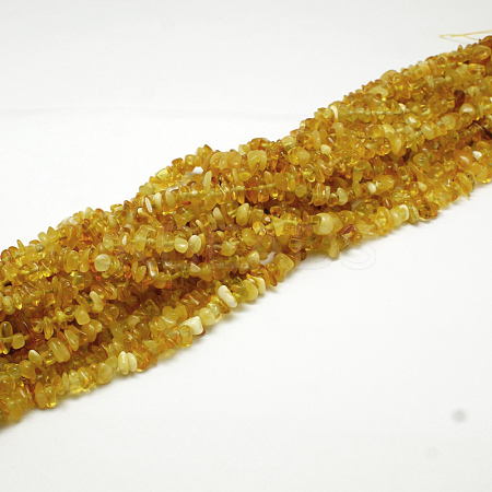 Natural Amber Chip Beads Strands X-G-E333-01B-1