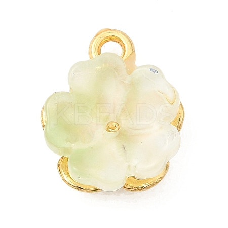 Alloy Glass Charms FIND-C079-05G-02-1