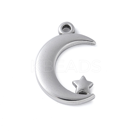 304 Stainless Steel Pendants STAS-E548-03P-1