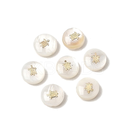 Natural Freshwater Shell Flat Round Beads SHEL-C009-01A-1