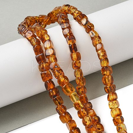 Natural Amber Beads Strands G-K387-E01-01-1