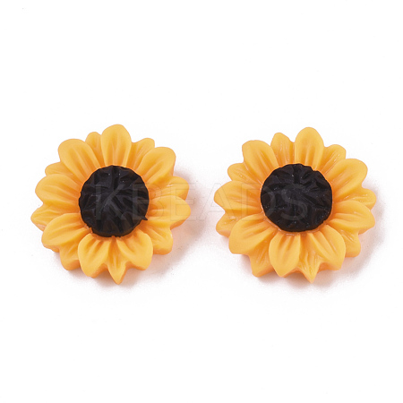 Resin Cabochons CRES-T010-57A-1