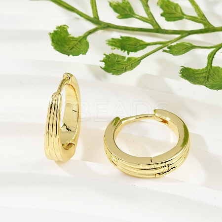 Brass Hoop Earrings EJEW-L299-02G-1