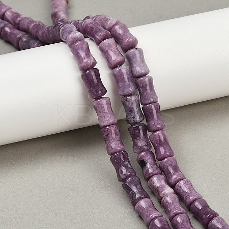 Natural Lepidolite/Purple Mica Stone Beads Strands G-F792-B01-1