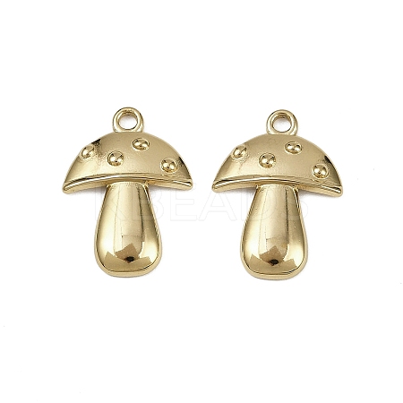 304 Stainless Steel Pendants STAS-D363-08G-1