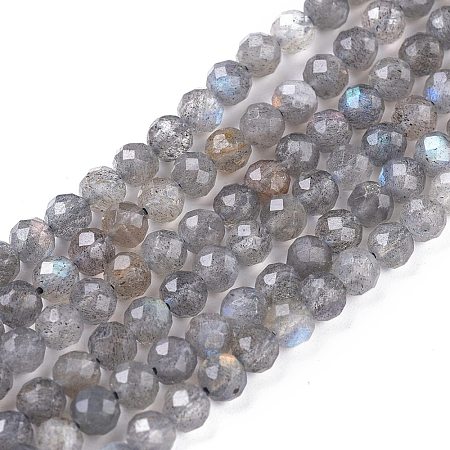 Natural Labradorite Beads Strands G-R475-025C-1
